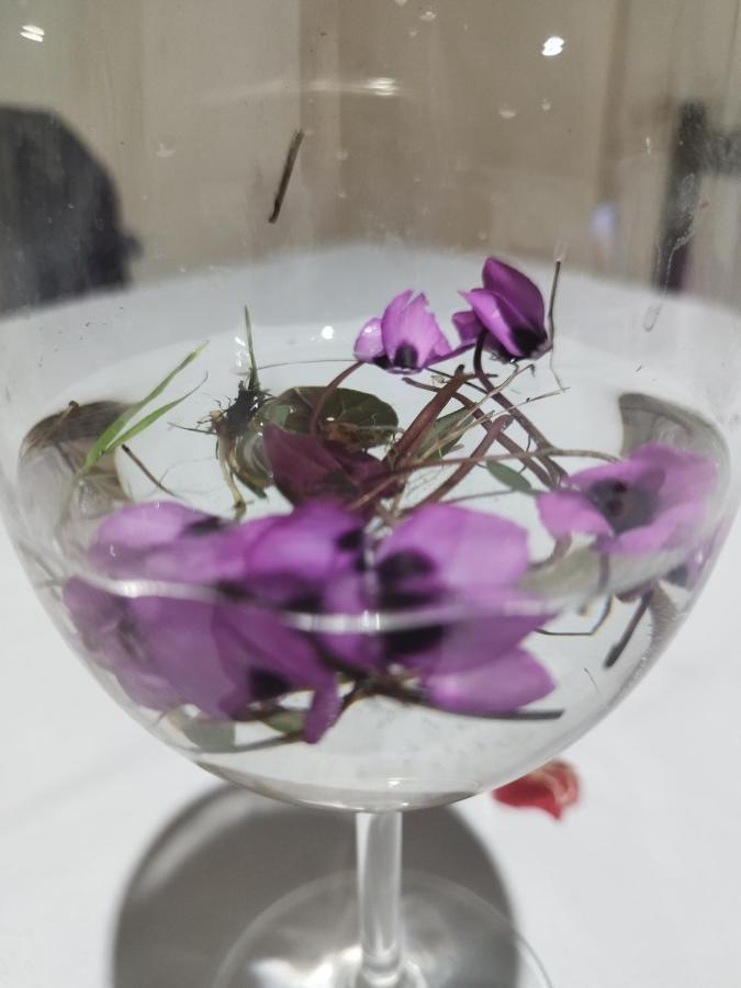 Dimis Ferdobi Vandrarhem Exteriör bild
